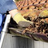 Who Offers Reliable Gutter Cleaning Services in Bronx NY?