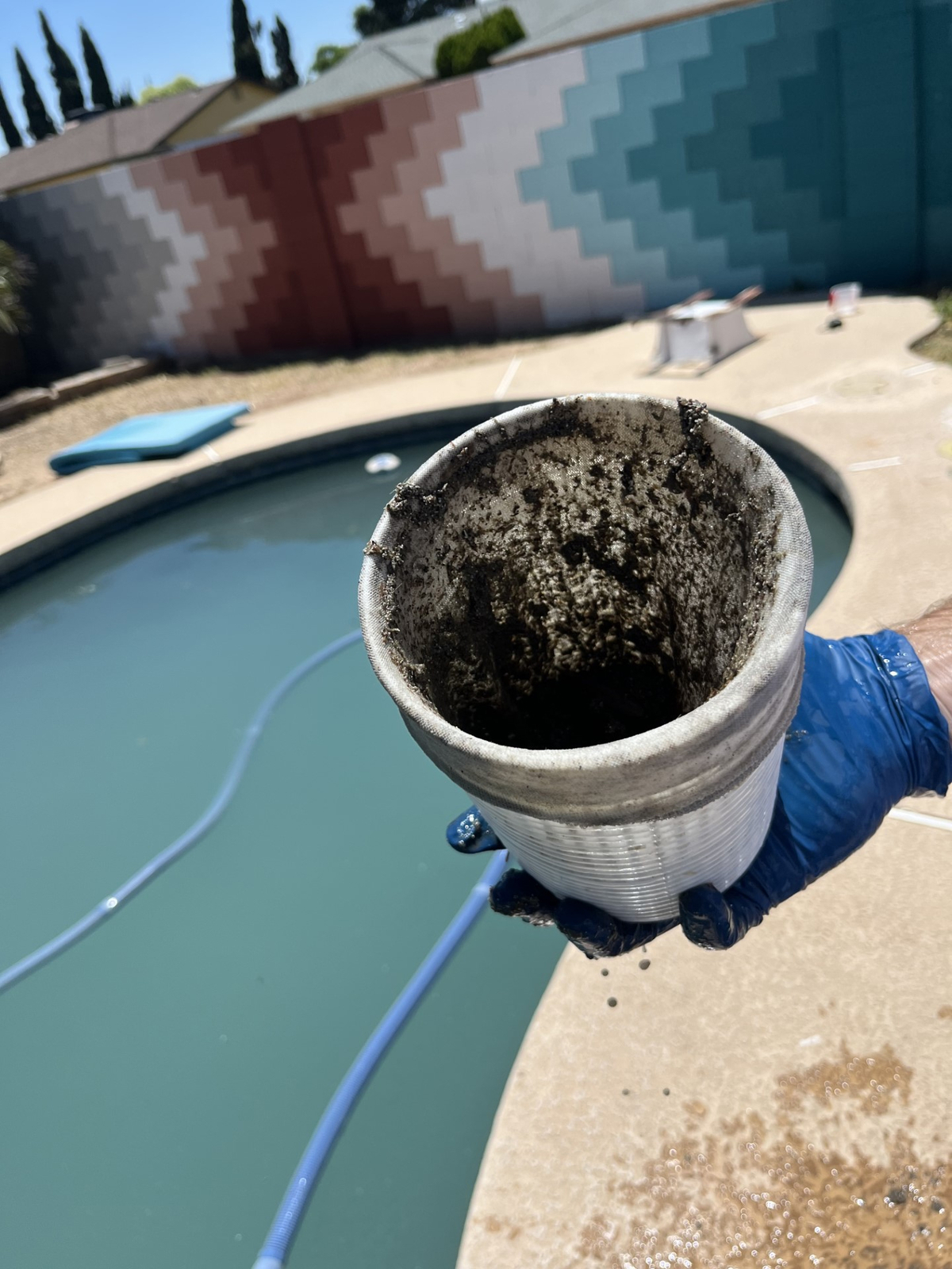 Weekly pool maintenance