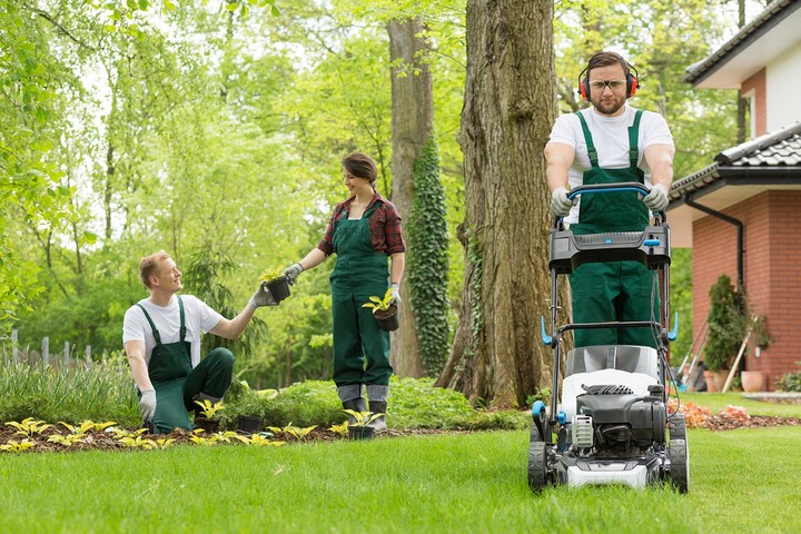 Lawn-Care-in-Louisville-KY