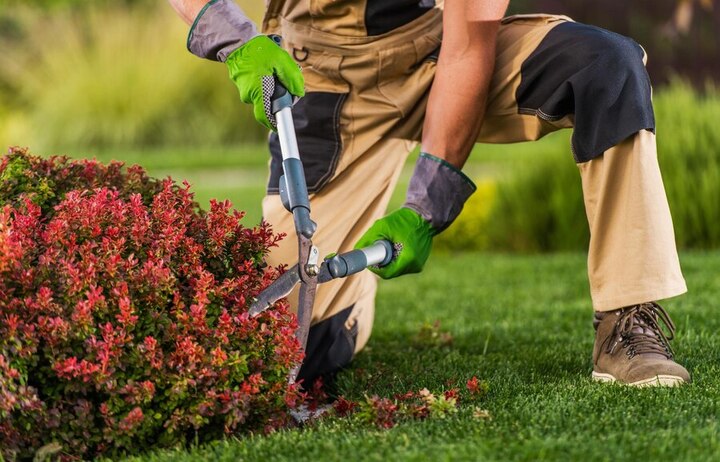 Landscaping-in-Fort-Myers-FL