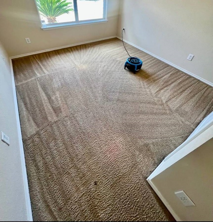 Carpet-Cleaning-in-San-Antonio-TX