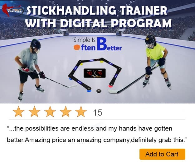 Stick Handling Training Aid