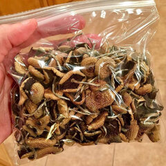 magic mushroom | Amie Shrooms