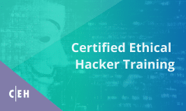 Ethical Hacking Course Online - CEH Certification Training