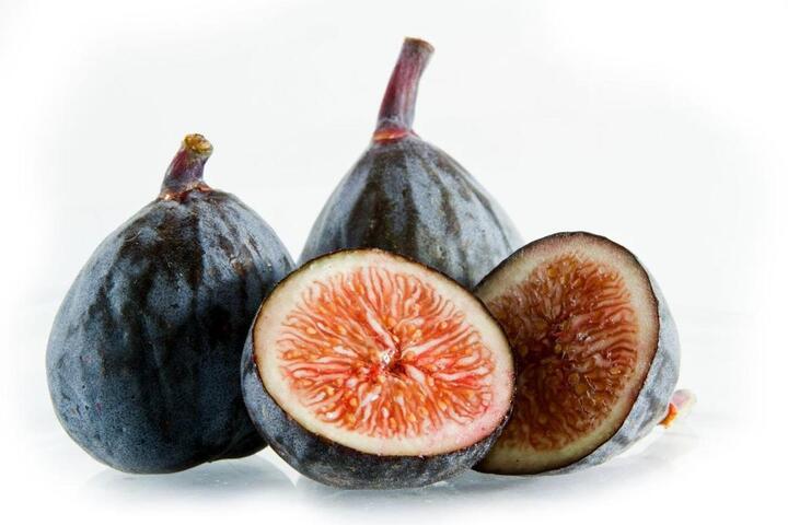 Fig Tree For Sale In Florida | Everglades Farm