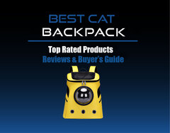 Best Cat Backpack Carrier of 2020 | cat harness carrying travel 
