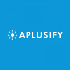 Salesforce Nonprofit Consultant 