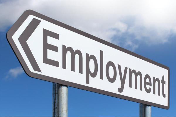 How to create your First Employment Checklist | DAILY COLORADO N