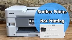 How To Fix The Brother Printer Not Printing Issue In an Instant