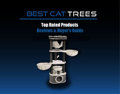 Best Cat Trees Reviews for Large Cats &amp; Kittens 2021 | Cheap Cat