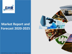 Global Umbilical Cord Blood Banking Market Report and Forecast 2