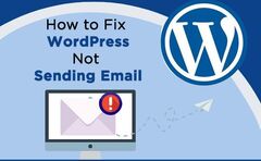 Why WordPress Email Is Not Working? WordPress Support