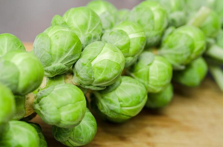 How To Plant Brussels Sprouts