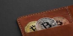 Best Bitcoin Cash Wallets (BCH) | Forexpertassisstance