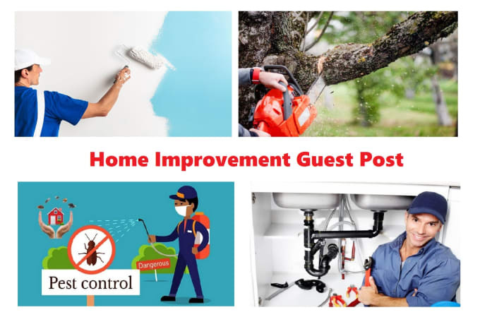 Lencpop: I will guest post on home improvement with dofollow bac