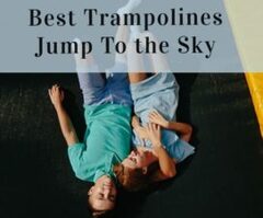 Best Website Hosting Services Provider Companies List