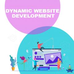 Dynamic Website Development Company in Delhi | Paramount