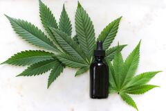 Phil Mickelson CBD Oil: Reviews, Ingredients |Phil Mickelson CBD