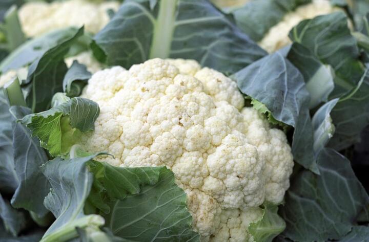 How To Plant Cauliflower