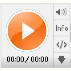 IPL Betting Site.mp3
