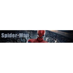 Buy SpiderMan Cosplay Costume Online at Low Prices for Halloween