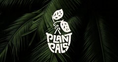 Indoor Plant Stakes | Buy Garden Trellis | House Plants &amp; Access