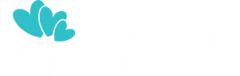 Desi Domestic Service LLC || Best Indian and Desi childcare serv