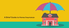 Top 4 Different Types of Property Insurances and It's Benefits
