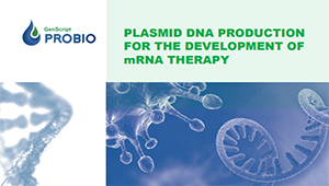 Plasmid DNA Production – GMP plasmid for gene and cell therapy