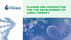 Plasmid DNA Production \u2013 GMP plasmid for gene and cell therapy