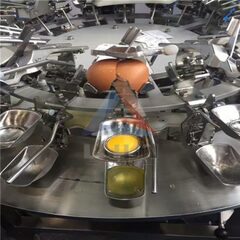 Egg Breaker &amp;#038;Separator: Commercial Egg Yolk Separator