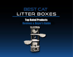 Best Cat Trees Reviews for Large Cats &amp; Kittens 2020 | Cheap Cat