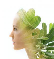 Facial Acupuncture - Refuge Acupuncture