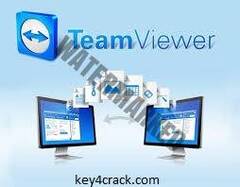 TeamViewer 15.9.4 Crack License Key (Portable) Torrent [2020]