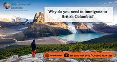 Canada immigration consultants,Pr consultant in delhi,Alberta