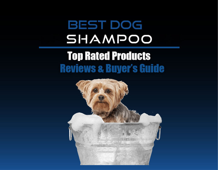 20+ Best Shampoo for Dogs Reviews 2021 | Petsaw