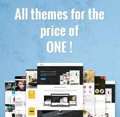 Premium WordPress themes for Indian commercial websites and clie