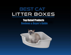 30+ Best Cat Litter Boxes &amp; Pans 2021 Reviews\u00ae {Updated} Buyer G