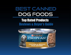 Best Canned Dog Foods for Puppies &amp; Senior Dogs | [Updated Revie