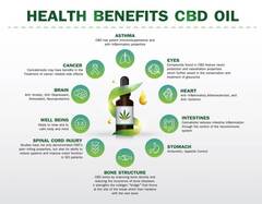 Kevin Harvick CBD Oil: Reviews, Cost, Ingredients |Real Truth Ab