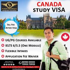 Future Developer - Best Visa Consultant - Future Developer : Stu