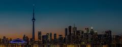 About Us - Future Developer : Study Visa - Tourist Visa - PR Vis