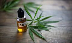 Kirk Cameron CBD Oil: |Review, Benefits, Price| Effective &amp;100% 
