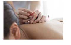 Natural Synergy Review - Is It A Powerful Healing Program? Read 