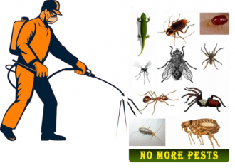 Why People Prefer To Use Pest Control