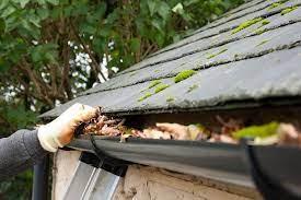 Why People Prefer To Use Gutter Cleaning Near Me