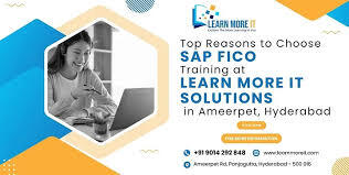S.A.P fico institute in Ameerpet