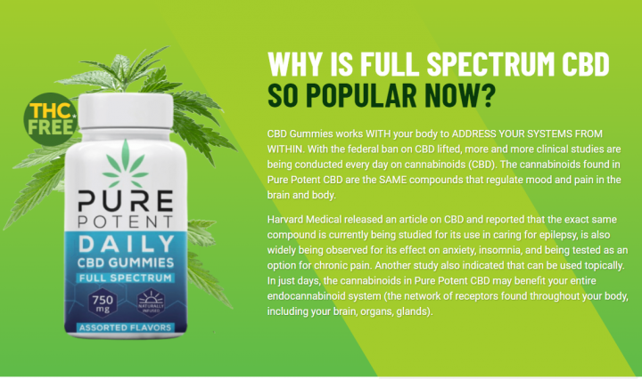 Pure Potent CBD Gummies Review (Scam or Safe) Does It Work