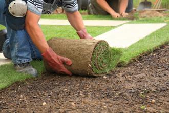 Let\u2019s Get Deep Inside Lawn Care Orlando Online