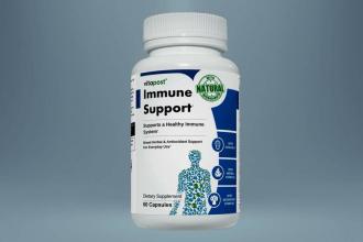 Best Immune System Boosters Is Best To Learn Basic Elements